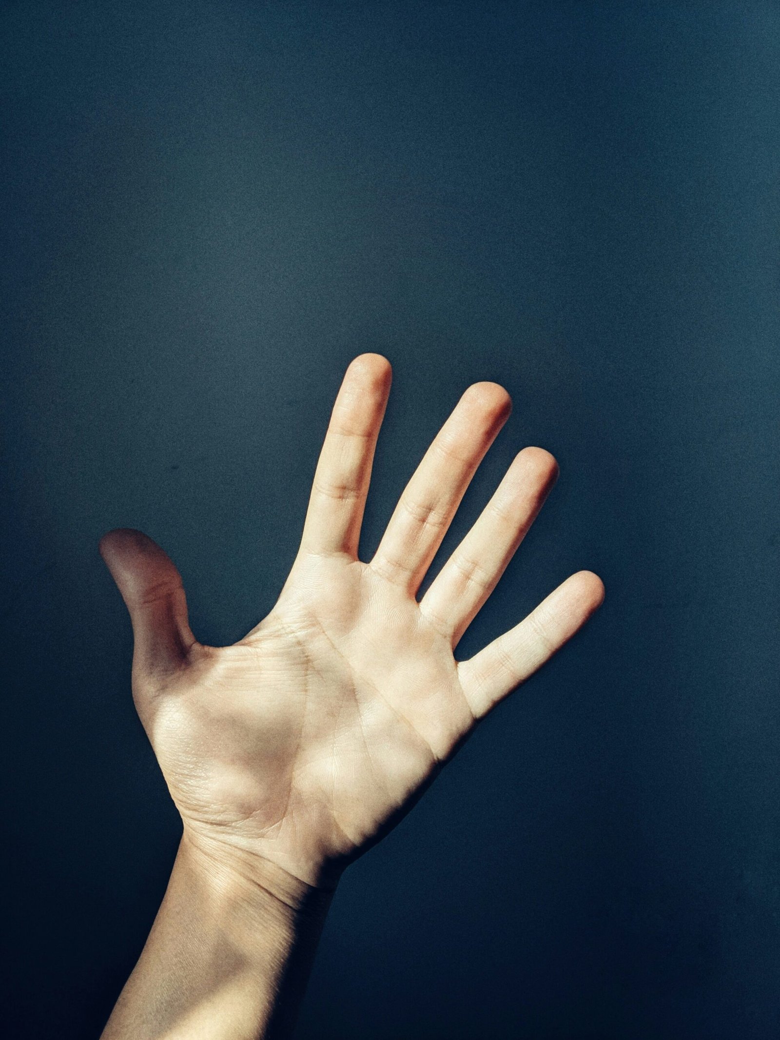 oussama bouchebak m0ukfl9byc unsplash